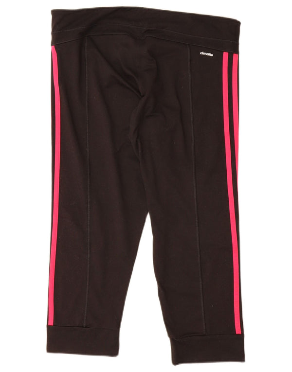Adidas Damen Climalite Trainingshose Jogger UK 12/14 Medium Schwarz