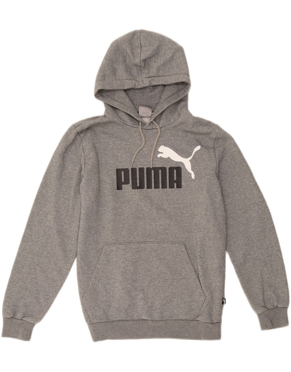 Puma Mens Graphic Hoodie Jumper Small Grey Cotton
