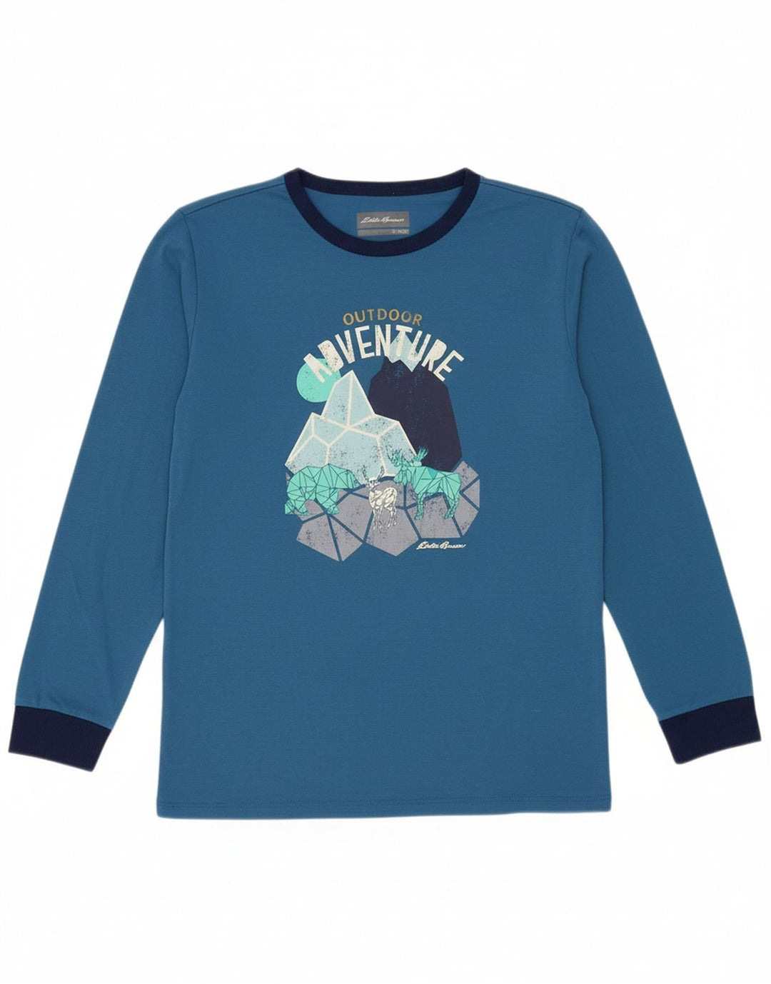 EDDIE BAUER Boys Graphic Top Long Sleeve 14-15 Years Large Blue Polyester