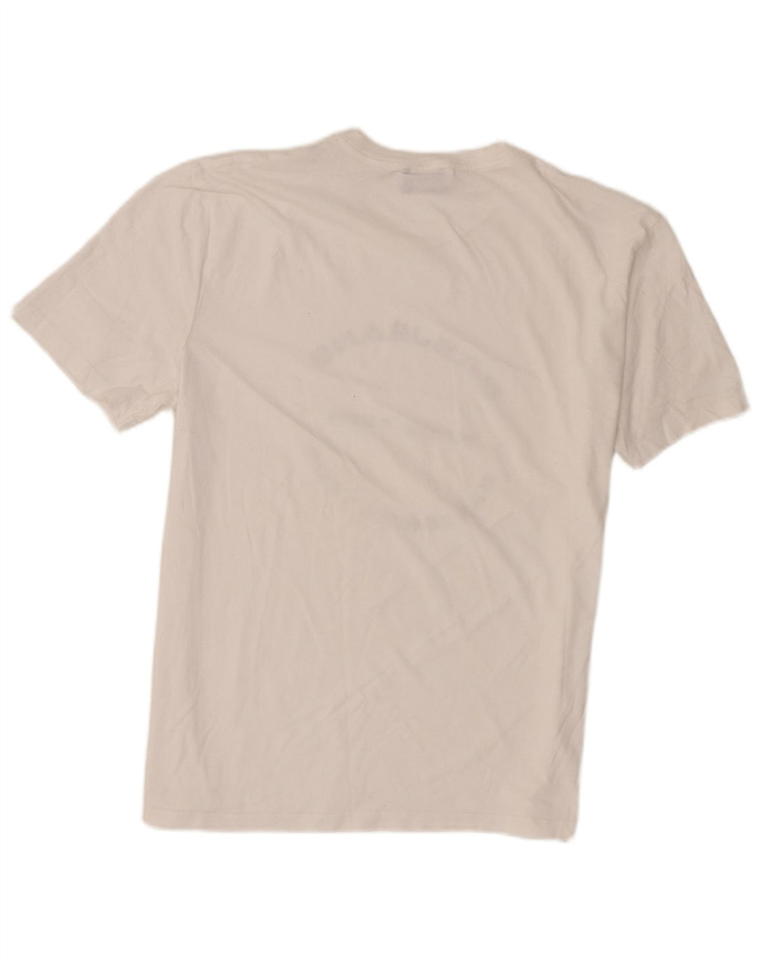 Ανδρικό γραφικό μπλουζάκι Gas Top Medium White
