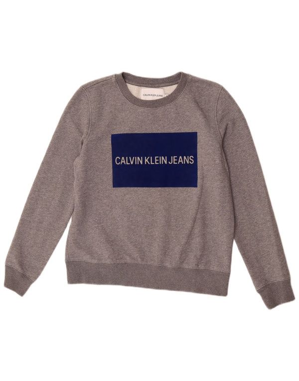 Calvin Klein Jeans Dame Grafisk Sweatshirt Jumper UK 14 Medium Grey