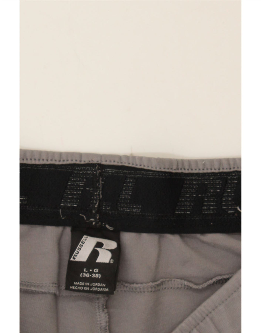 RUSSELL ATHLETIC Mens Tracksuit Trousers Large  Grey Polyester Vintage Russell Athletic and Second-Hand Russell Athletic from Messina Hembry 