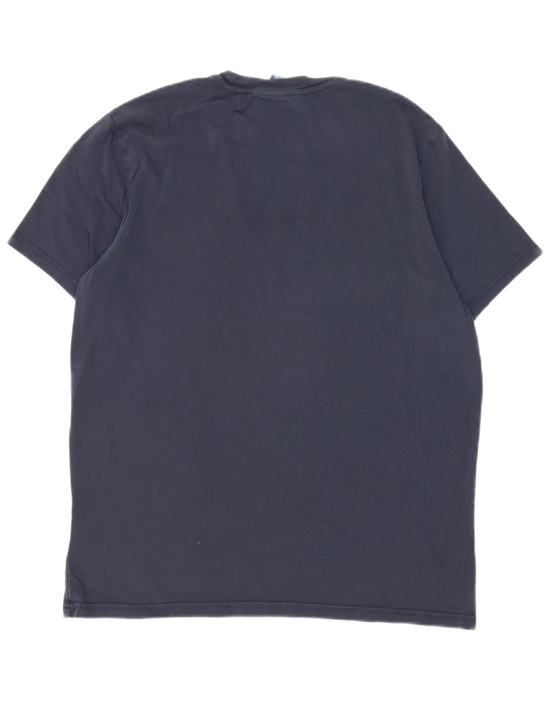 Champion Mens Graphic T-Shirt Top Large Navy Blue
