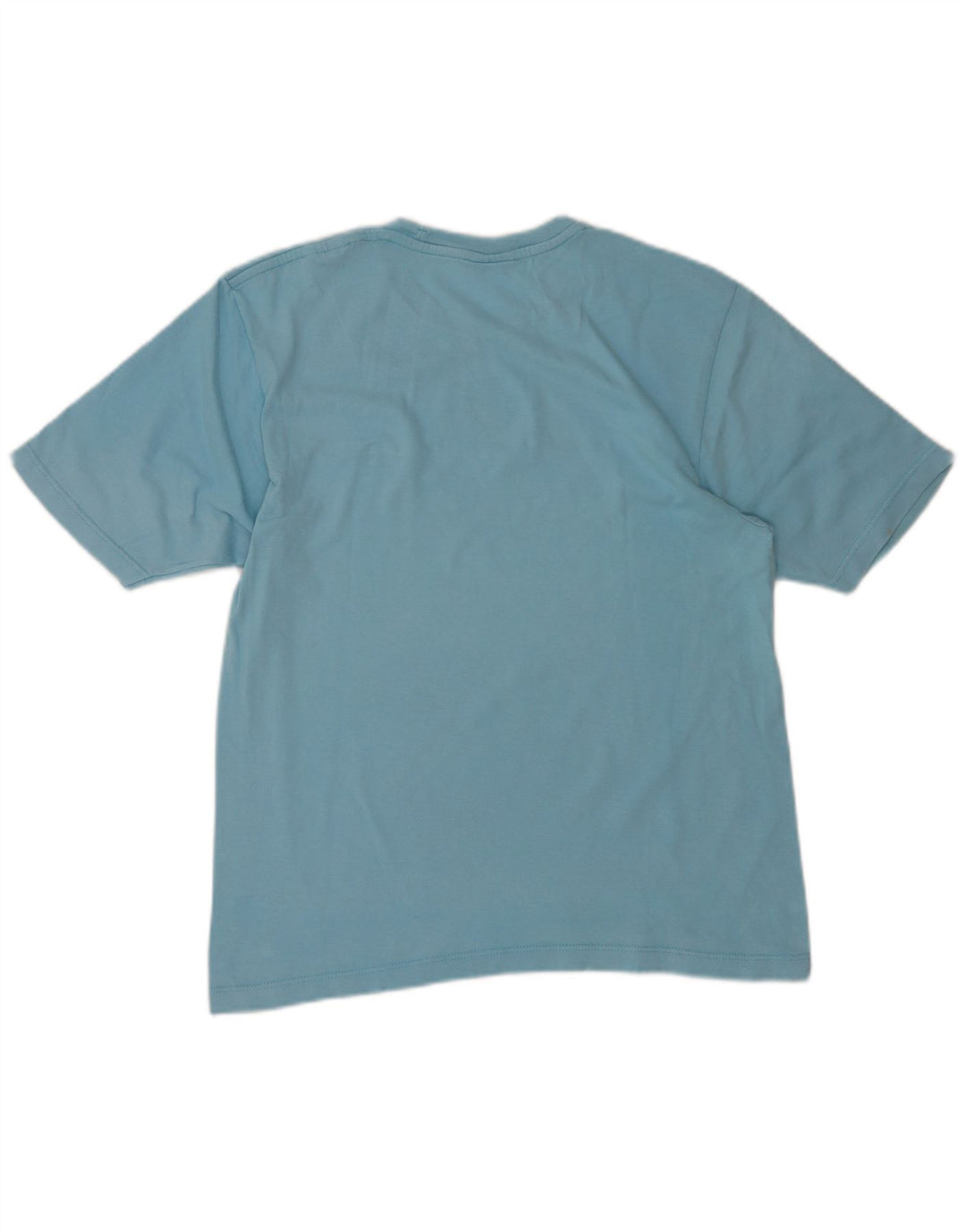 CHAMPION Mens T-Shirt Top Small Blue