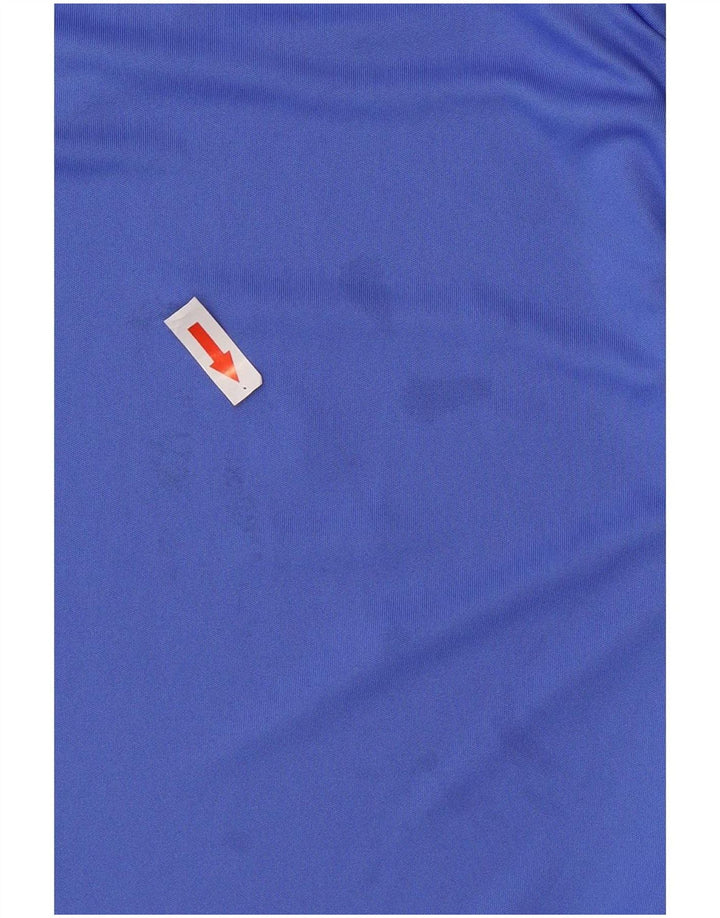 Nike Mens Dri Fit Graphic T-Shirt Top Large Blue Polyester