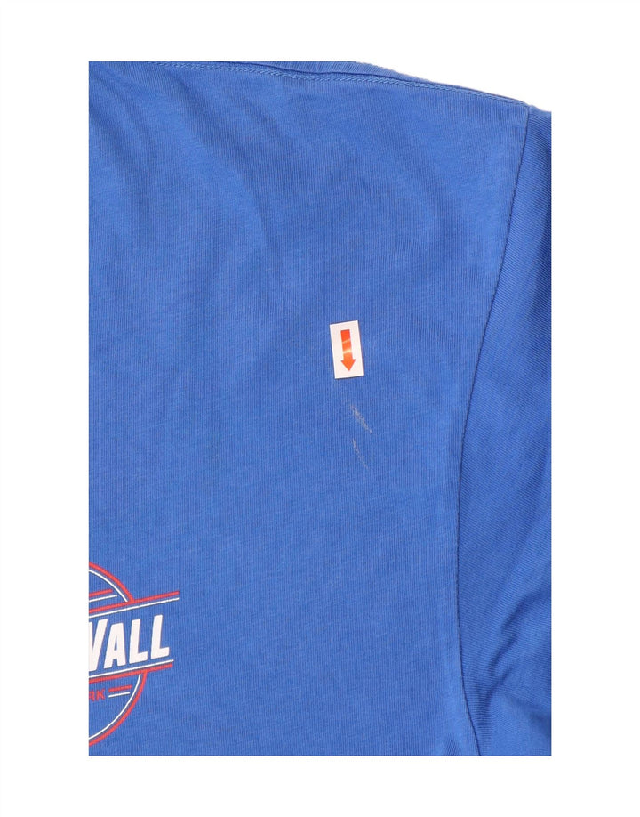 VANS Mens Classic Graphic T-Shirt Top Large Blue Cotton