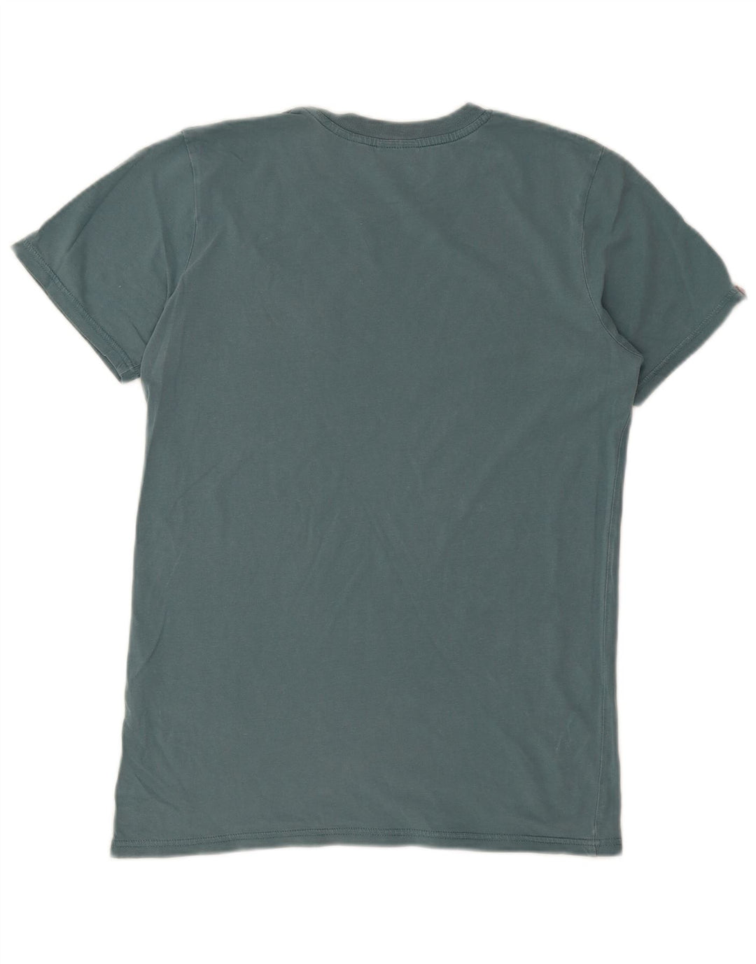 SUPERDRY Mens Graphic T-Shirt Top Small Blue Cotton