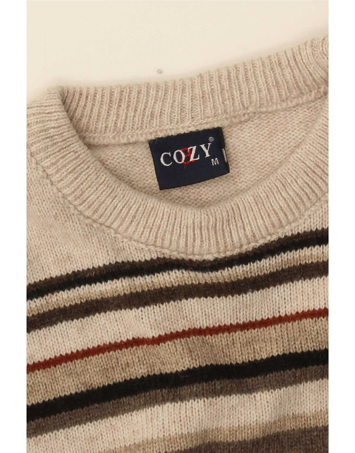 Vintage Mens Crew Neck Jumper Sweater Medium Multicoloured Striped