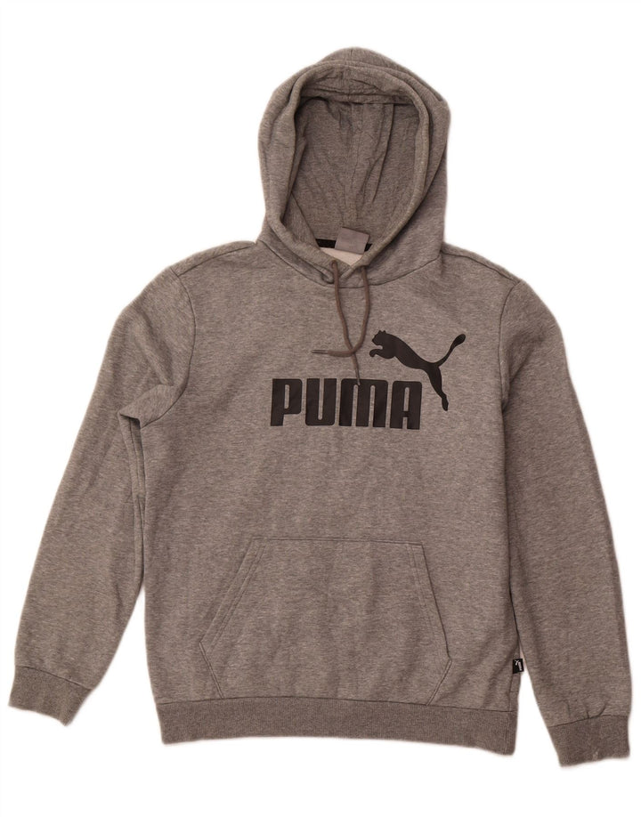 Puma Mens Graphic Hoodie Jumper Small Grey