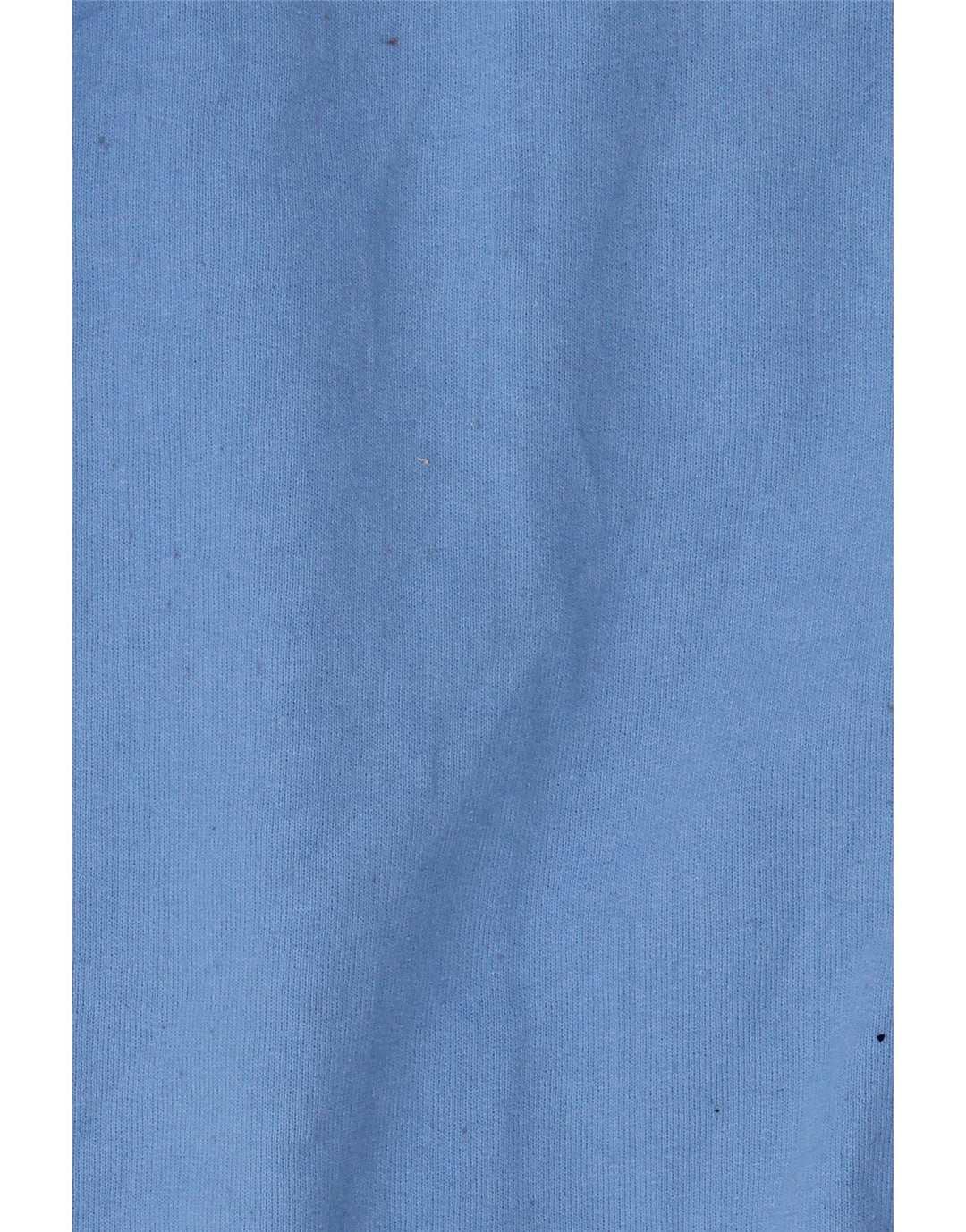 Champion Mens Sweatshirt Jumper Large Blue Cotton