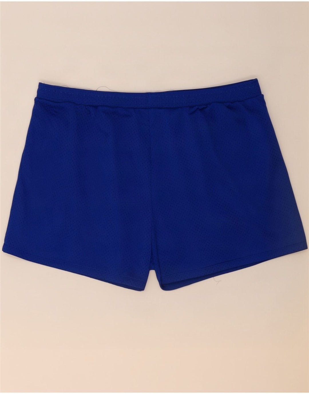 Champion Mens Sport Shorts Large Blue Polyester