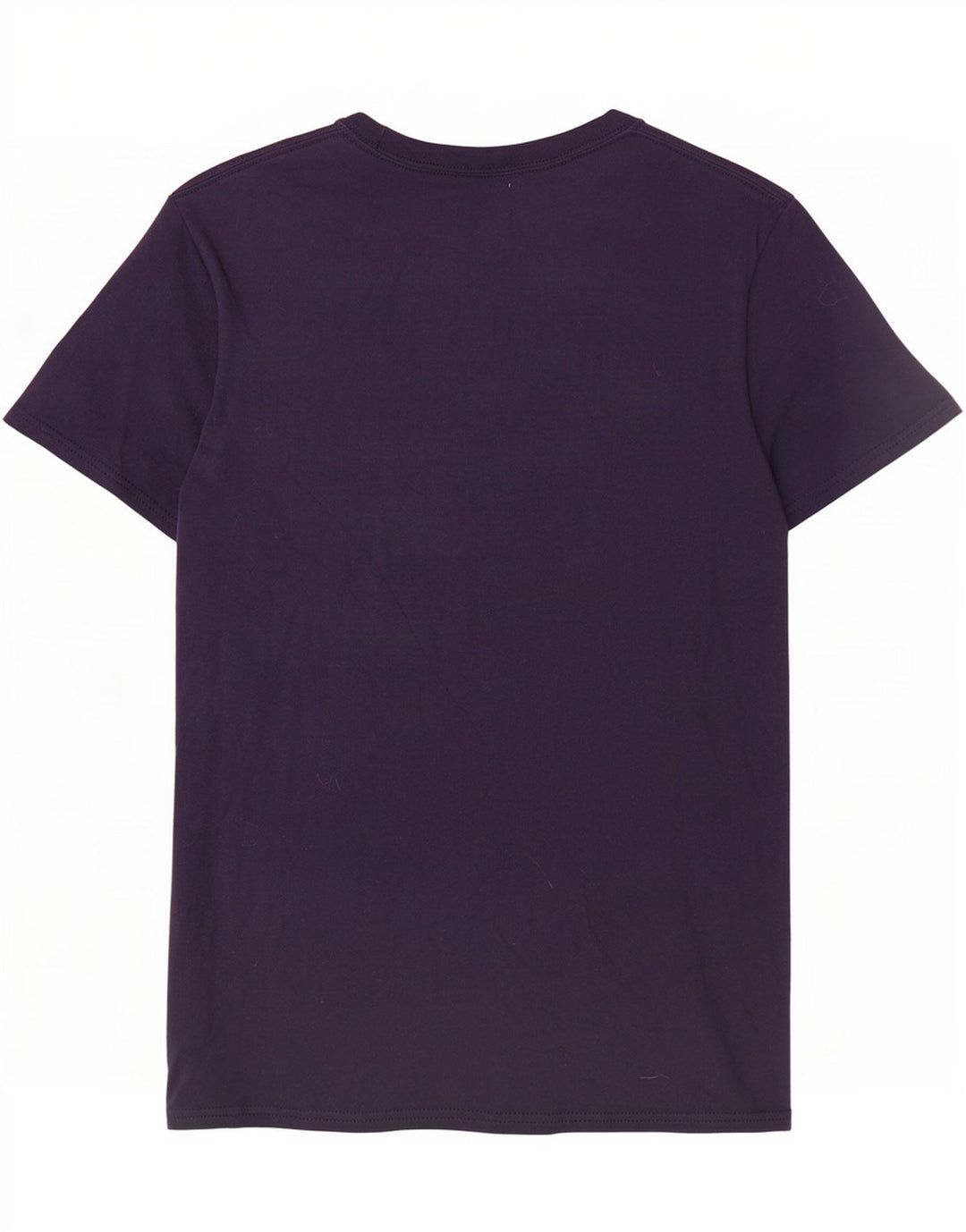 Champion Mens Graphic T-Shirt Top Small Navy Blue