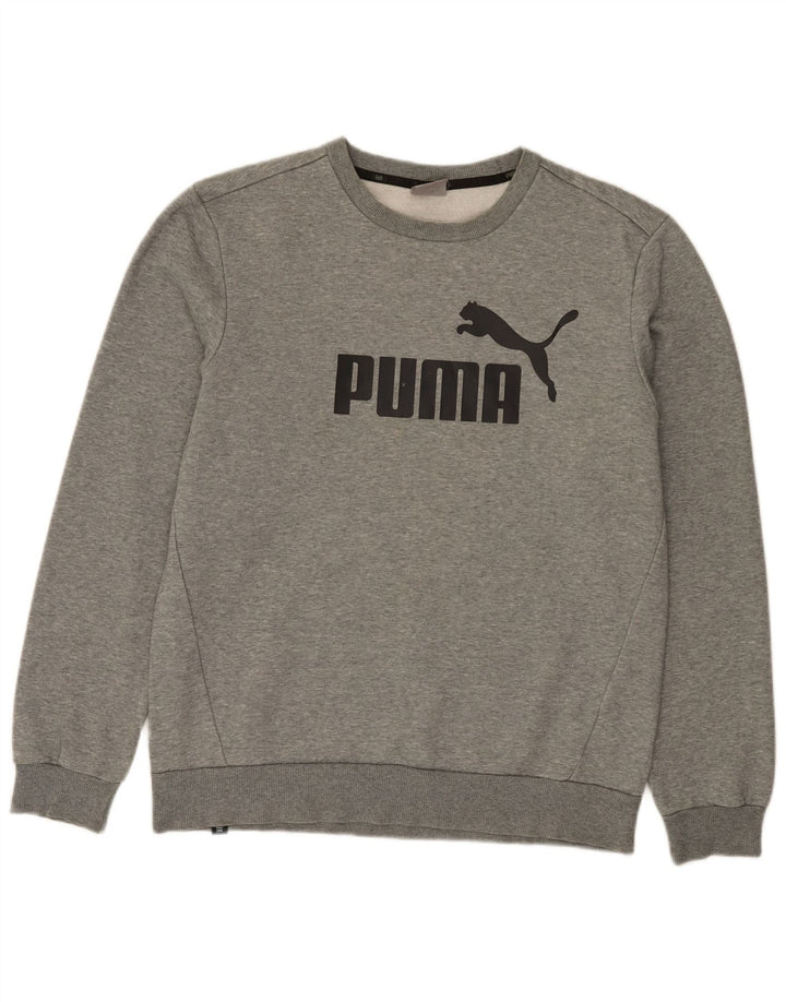 Ανδρικό γραφικό φούτερ Puma, βαμβακερό μεσαίο γκρι