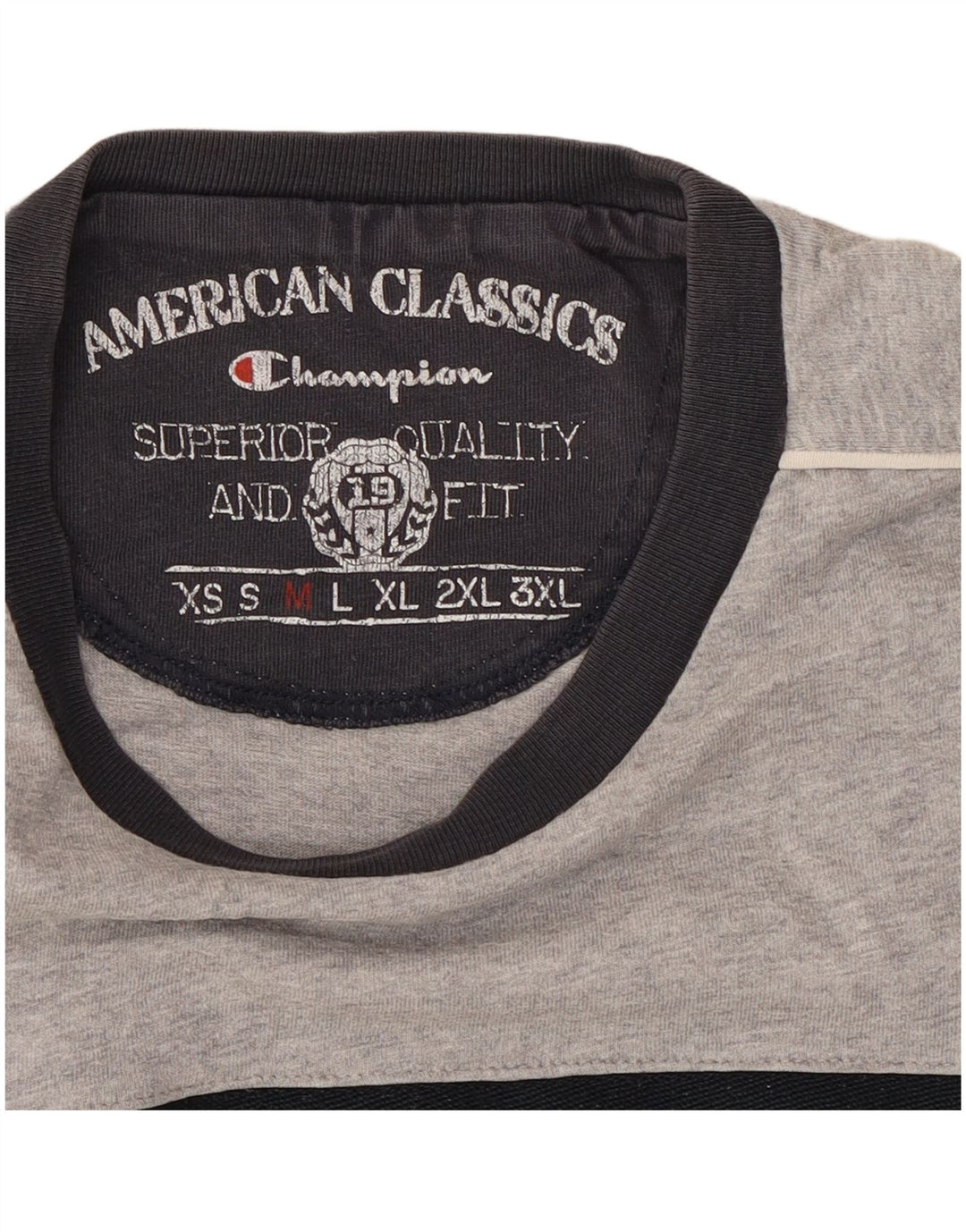 Champion Mens T-Shirt Top Medium Grey Colourblock