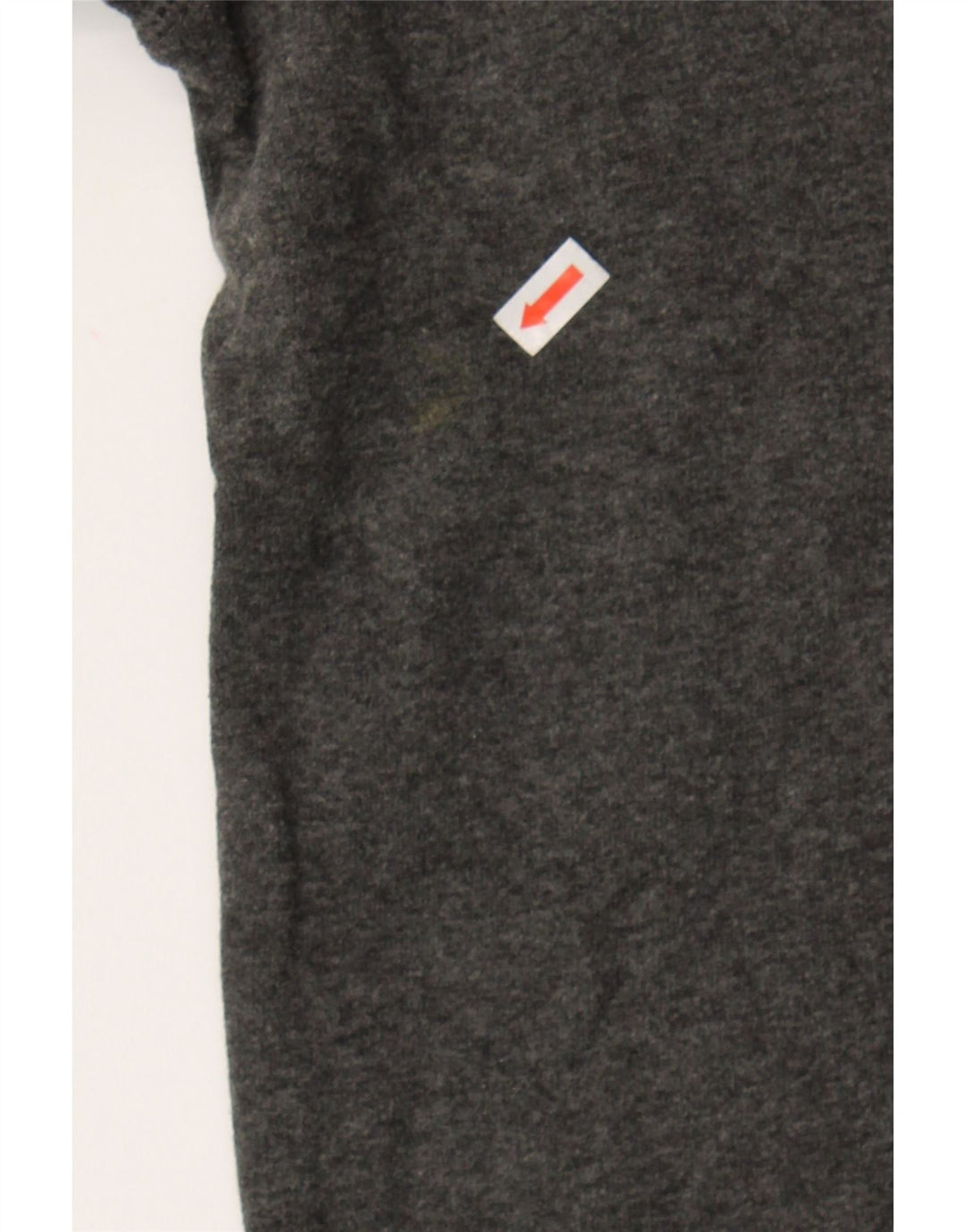 CHAMPION Womens Graphic Sweatshirt Jumper UK 16 Large Grey Vintage Champion and Second-Hand Champion from Messina Hembry 