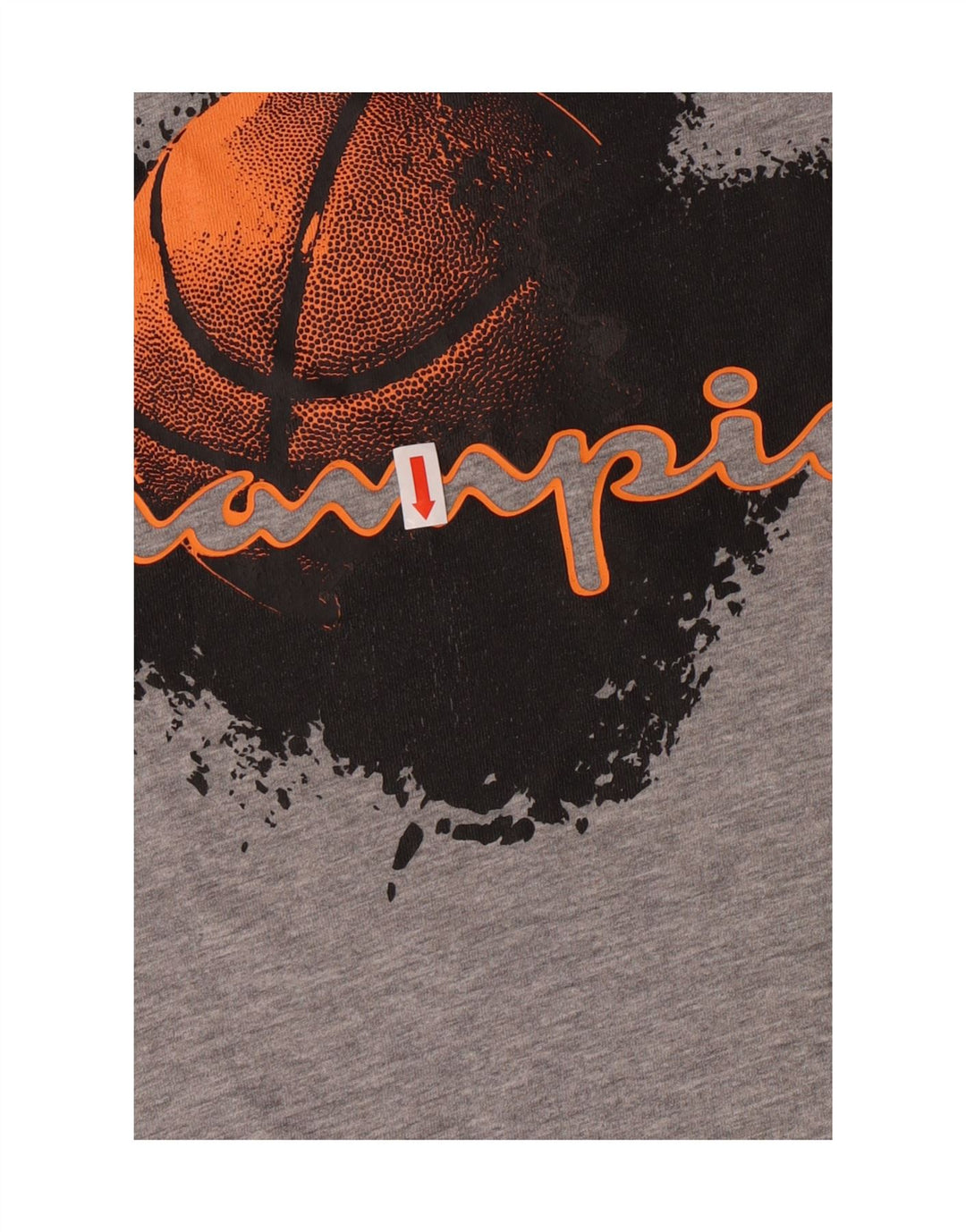CHAMPION Mens Graphic T-Shirt Top Large Grey Cotton Vintage Champion and Second-Hand Champion from Messina Hembry 