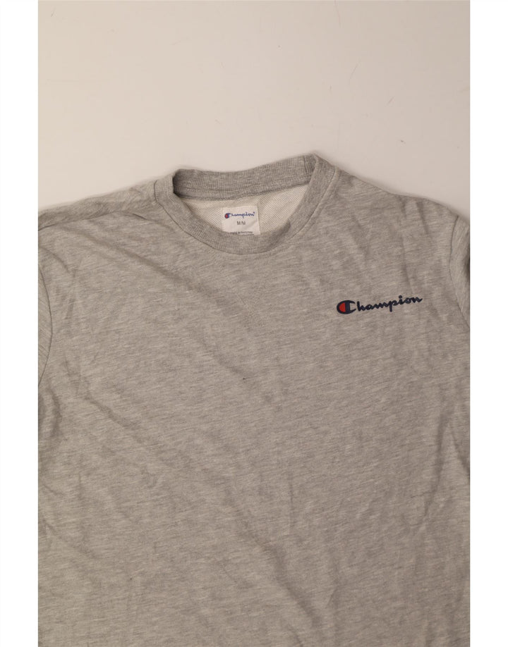 CHAMPION Mens Graphic Sweatshirt Jumper Medium Grey Cotton Vintage Champion and Second-Hand Champion from Messina Hembry 
