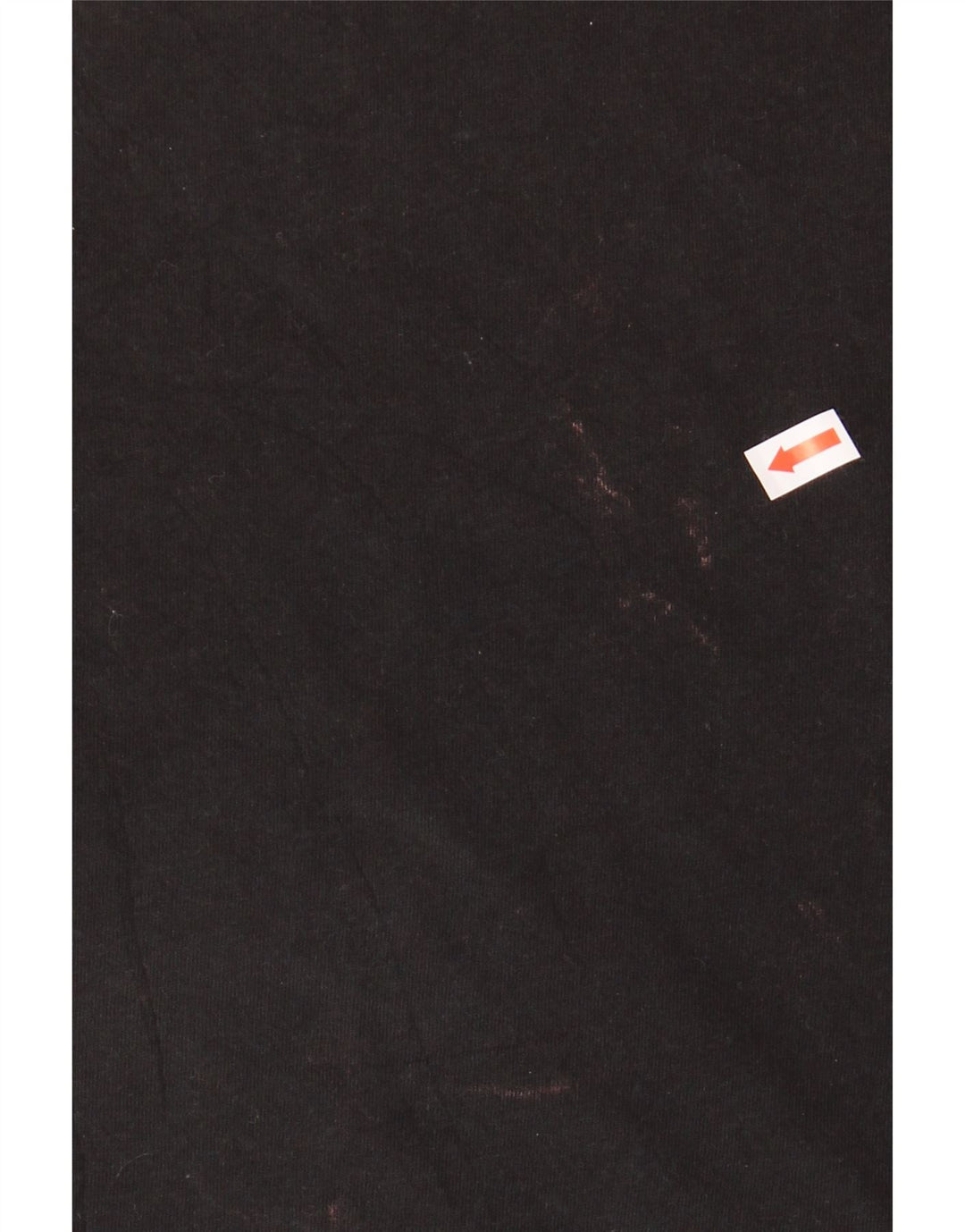 CHAMPION Mens Graphic T-Shirt Top Medium Black Cotton Vintage Champion and Second-Hand Champion from Messina Hembry 