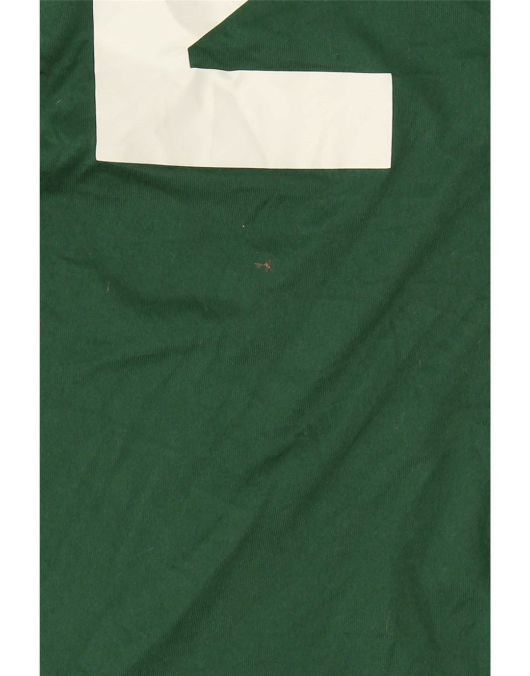 T-shirt grafica Nike Dri Fit da uomo in poliestere verde medio