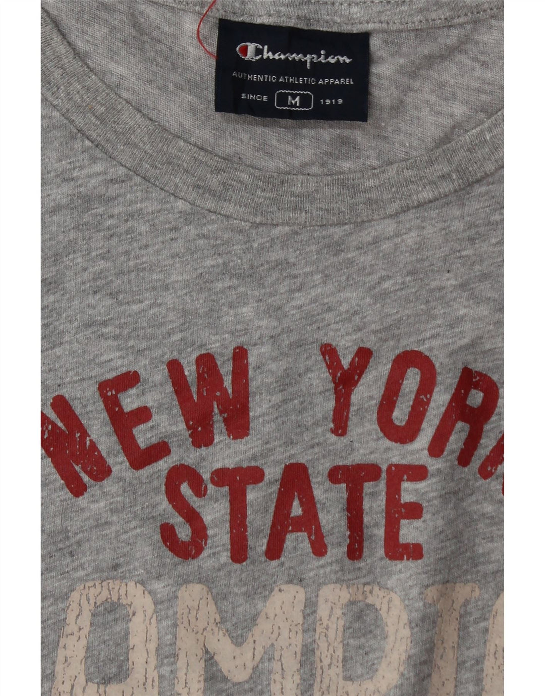 Champion Mens Graphic Vest Top Medium Grey Flecked