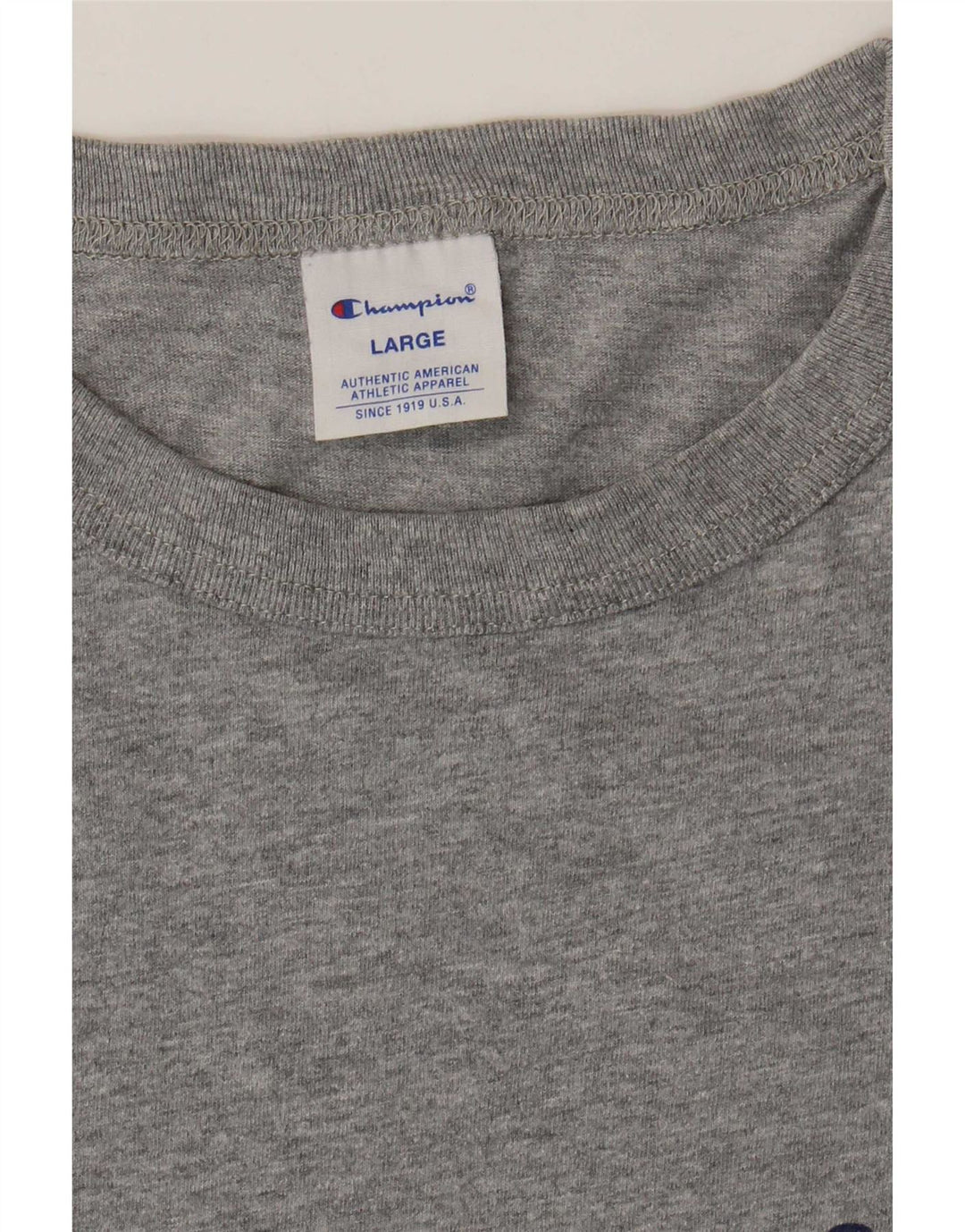 Champion Mens Graphic T-Shirt Top Large Grey Flecked