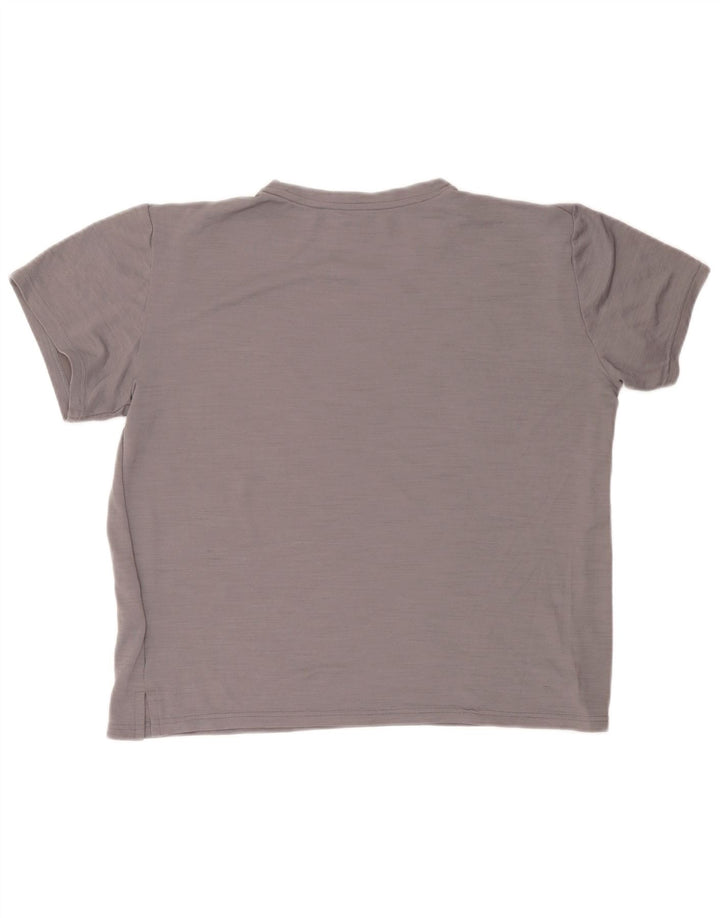 Nike Mens T-Shirt Top Large Grey Polyester