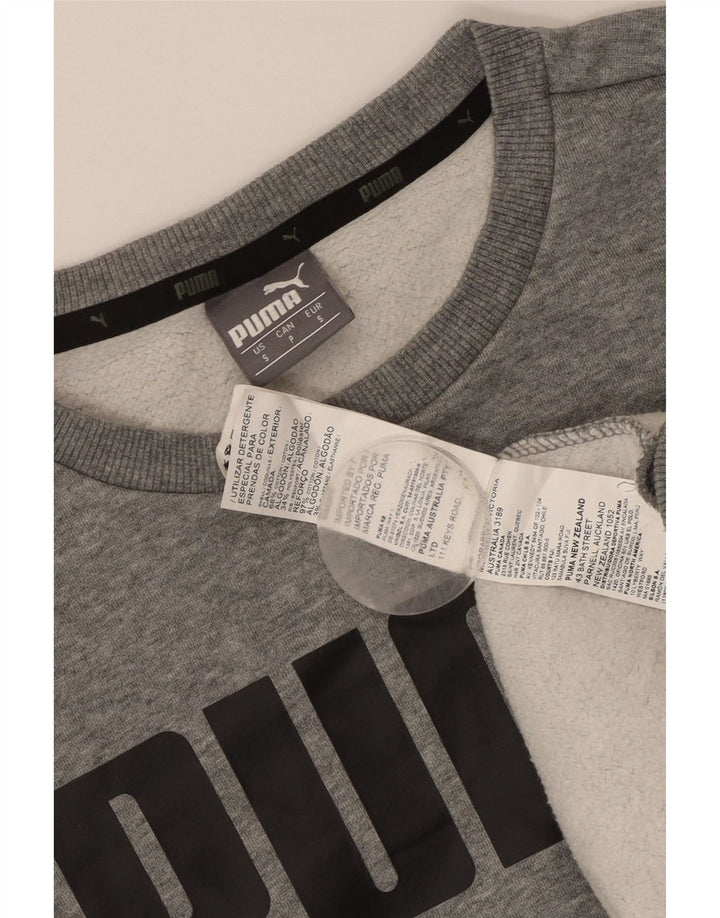Felpa grafica da uomo Puma Maglione piccolo in cotone grigio
