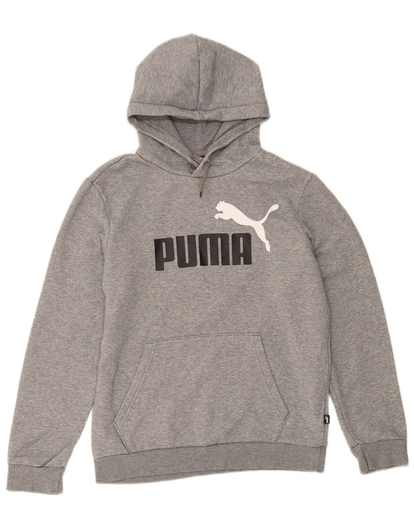 Puma Mens Graphic kapucnis pulóver kis szürke pamut