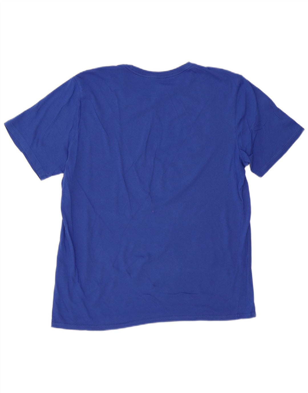 NIKE Mens Graphic T-Shirt Top Large Blue Cotton