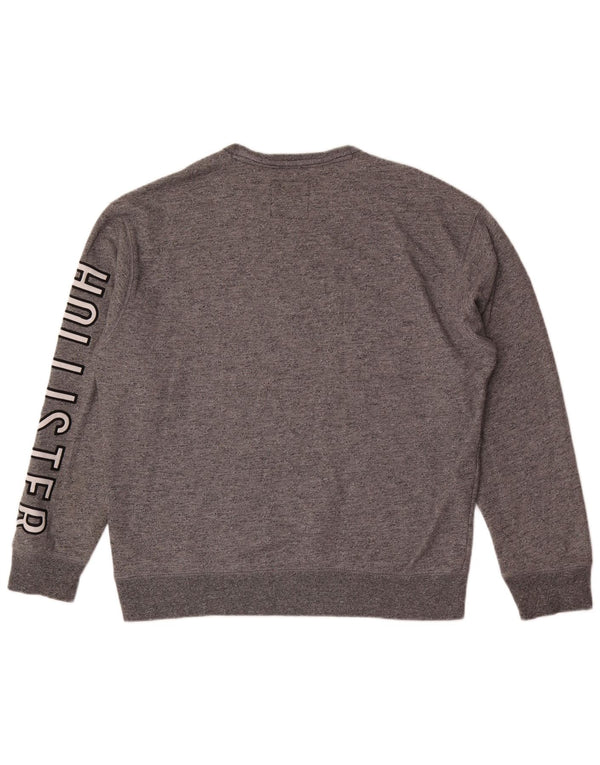 Hollister Herre Grafisk Sweatshirt Jumper XL Grå Bomuld