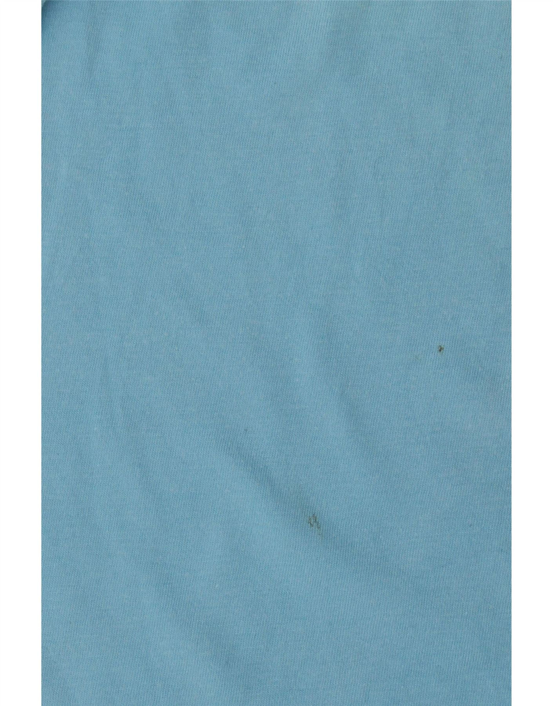 CHAMPION Mens T-Shirt Top Small Blue