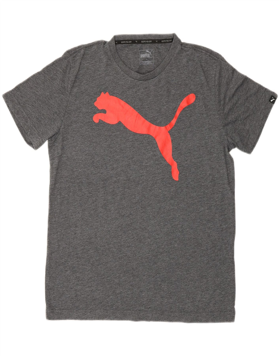 Puma T-Shirt Graphic Homme Gris Moyen Coton