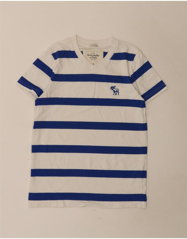 Abercrombie & Fitch Mens Muscle T-Shirt Top Small Blue Striped Cotton