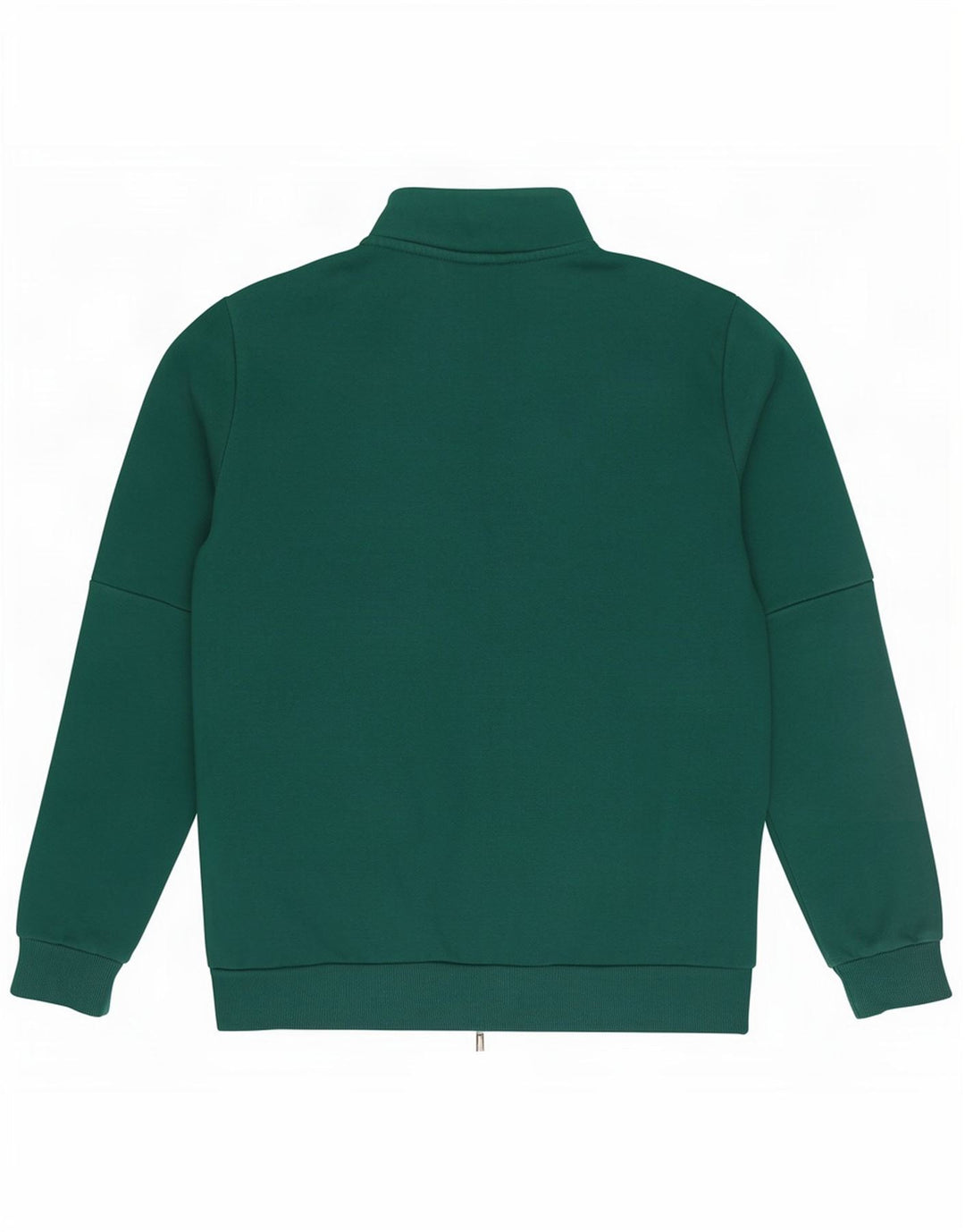 Puma Veste de Survêtement Graphique Homme Vert Moyen Colourblock Cotton