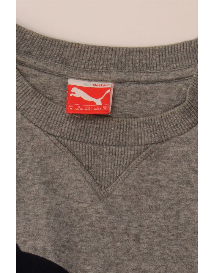 Puma Mens Graphic Sweatshirt Jumper Medium Grey Flecked