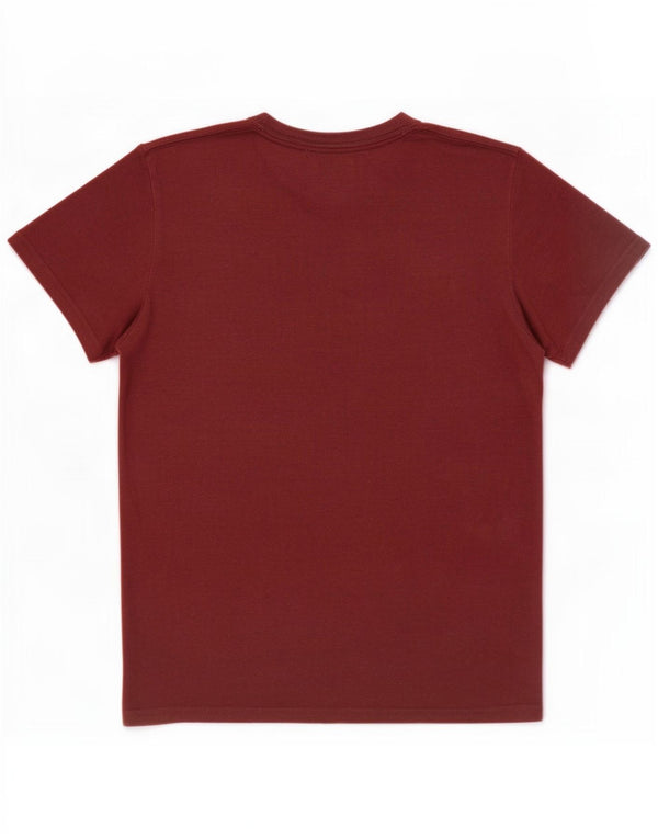 Hollister Mens Graphic T-Shirt Top Medium Maroon Flecked Cotton