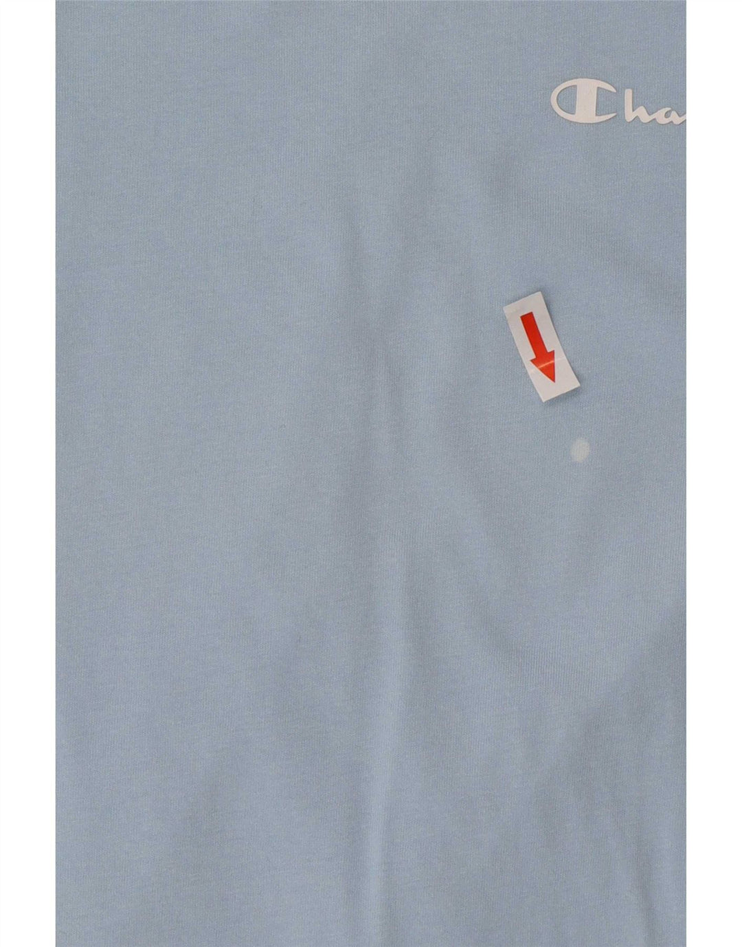 Champion Mens T-Shirt Top Small Blue