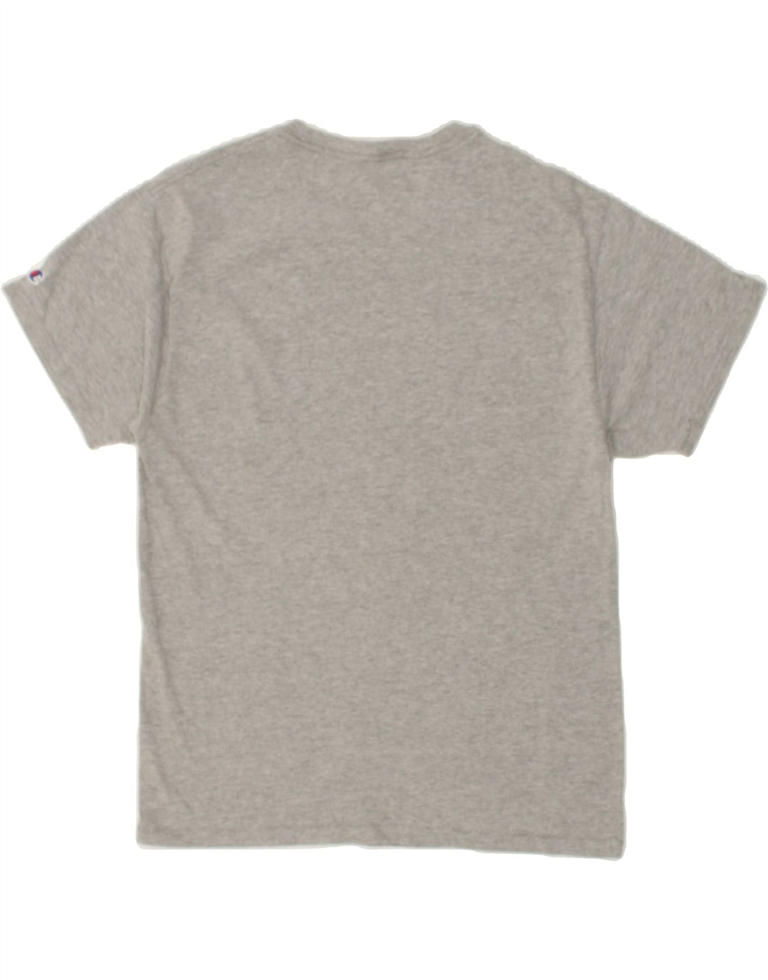 CHAMPION Mens T-Shirt Top Medium Grey Vintage Champion and Second-Hand Champion from Messina Hembry 