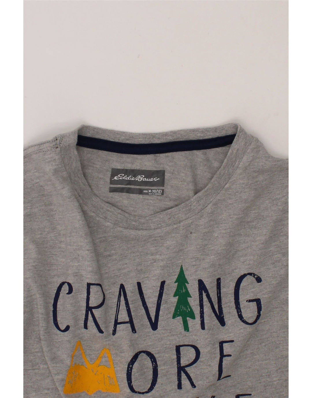 EDDIE BAUER Boys Graphic T-Shirt Top 10-11 Years Medium  Grey Modern Vintage Eddie Bauer and Second-Hand Eddie Bauer from Messina Hembry 