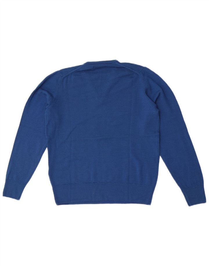 Zara Herre V-hals sweater Medium Blue