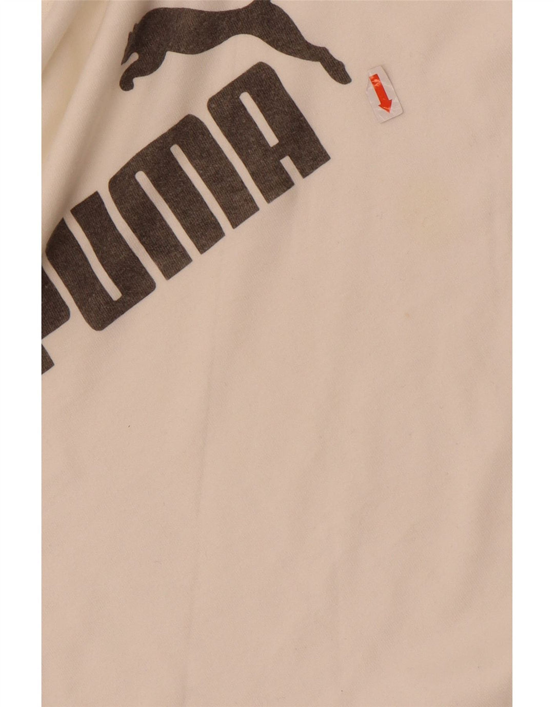 Puma Haut graphique à manches longues pour hommes, petit, blanc