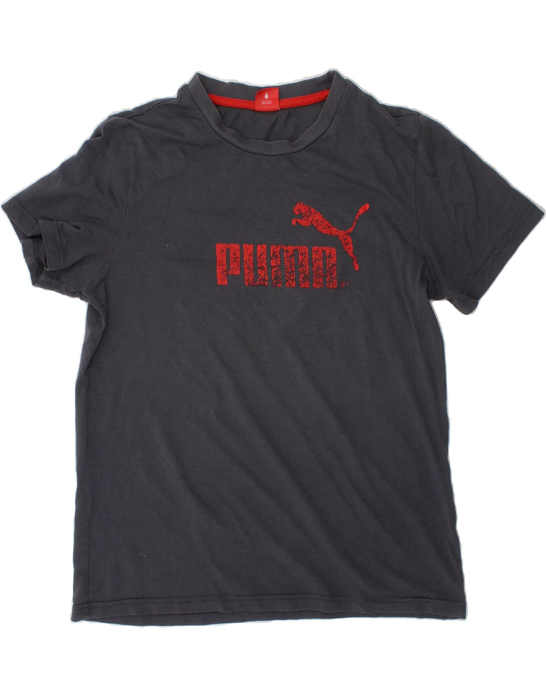 PUMA Boys Graphic T-Shirt Top 13-14 Years Grey Vintage Puma and Second-Hand Puma from Messina Hembry 