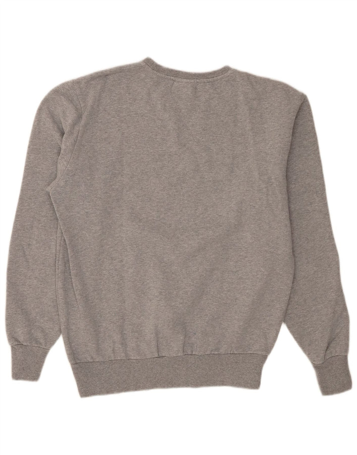 Felpa da uomo Ellesse Maglione grande in cotone grigio
