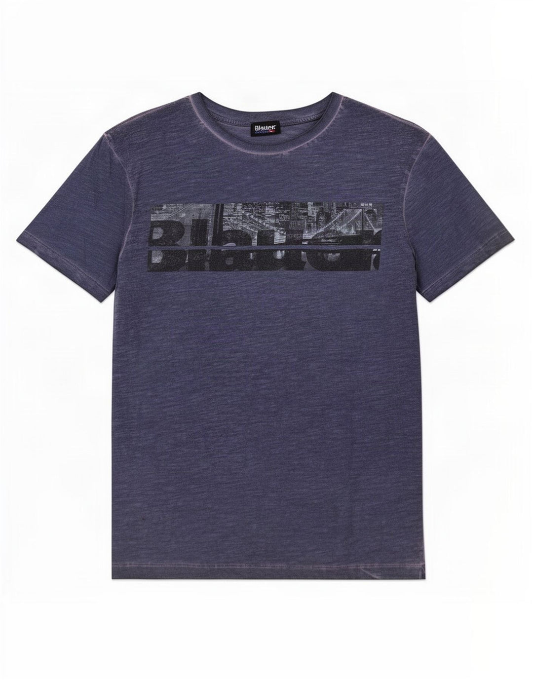 Blauer Mens Graphic T-Shirt Top Medium Navy Blue