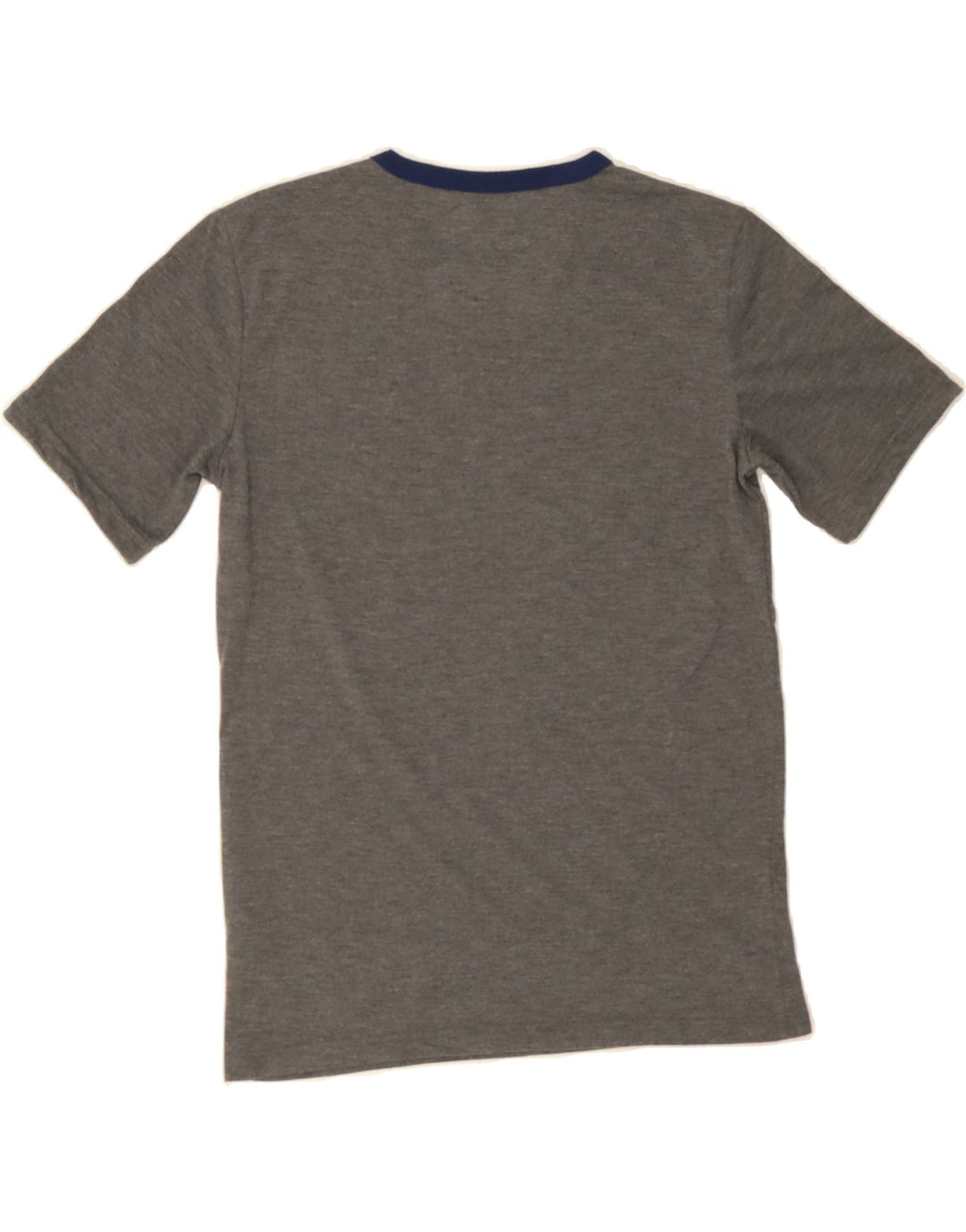 EDDIE BAUER Boys Graphic T-Shirt Top 14-15 Years Large  Grey Polyester Vintage Eddie Bauer and Second-Hand Eddie Bauer from Messina Hembry 