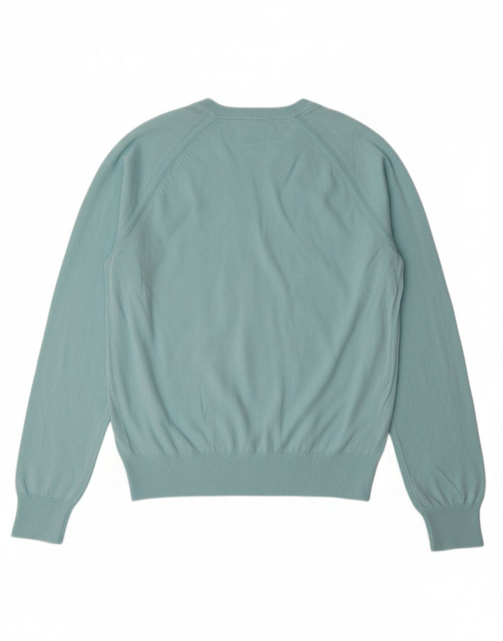 PENGUIN Mens V-Neck Jumper Sweater Large Turquoise Cotton