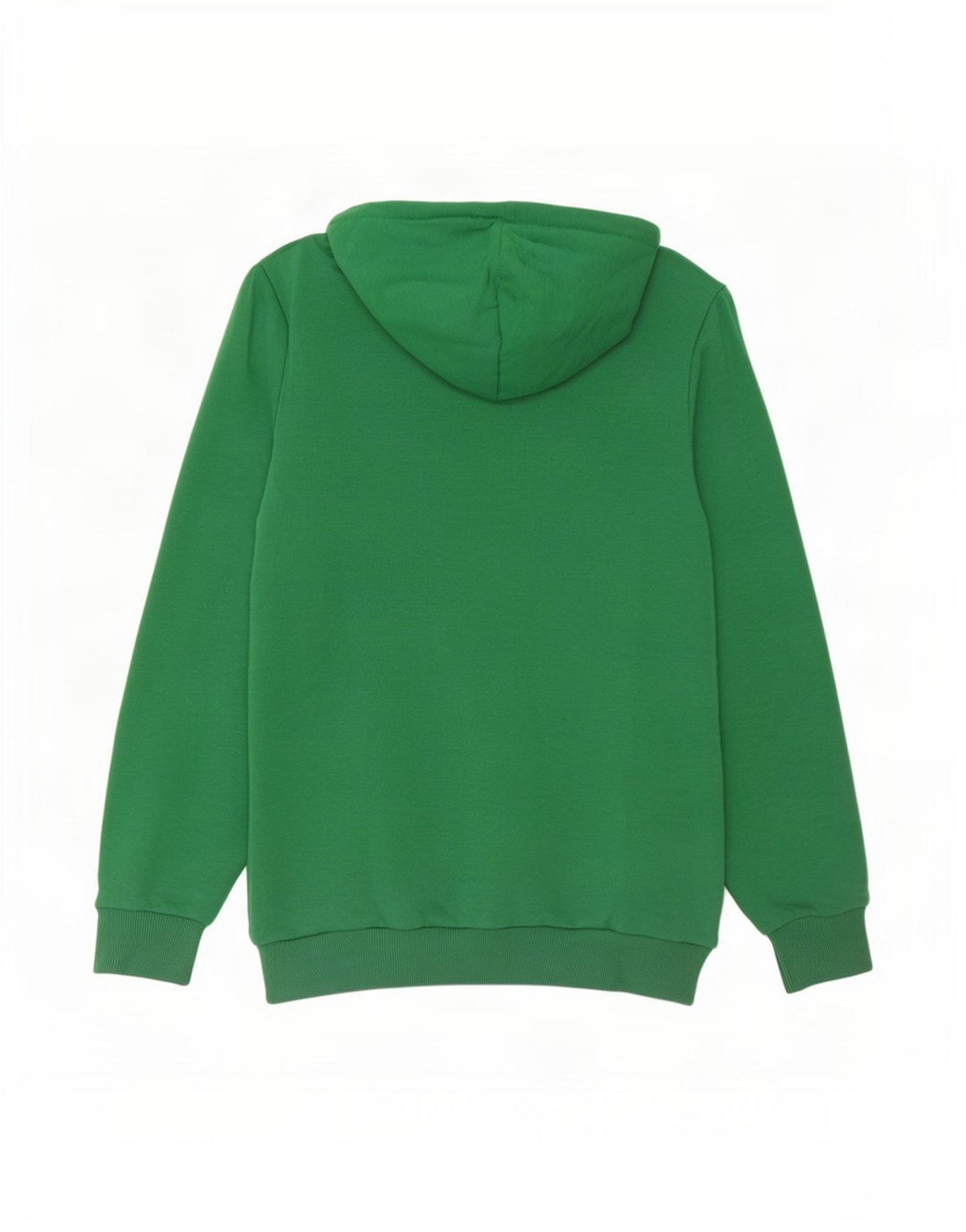 Sudadera Con Capucha Gráfica Puma Verde Medio |