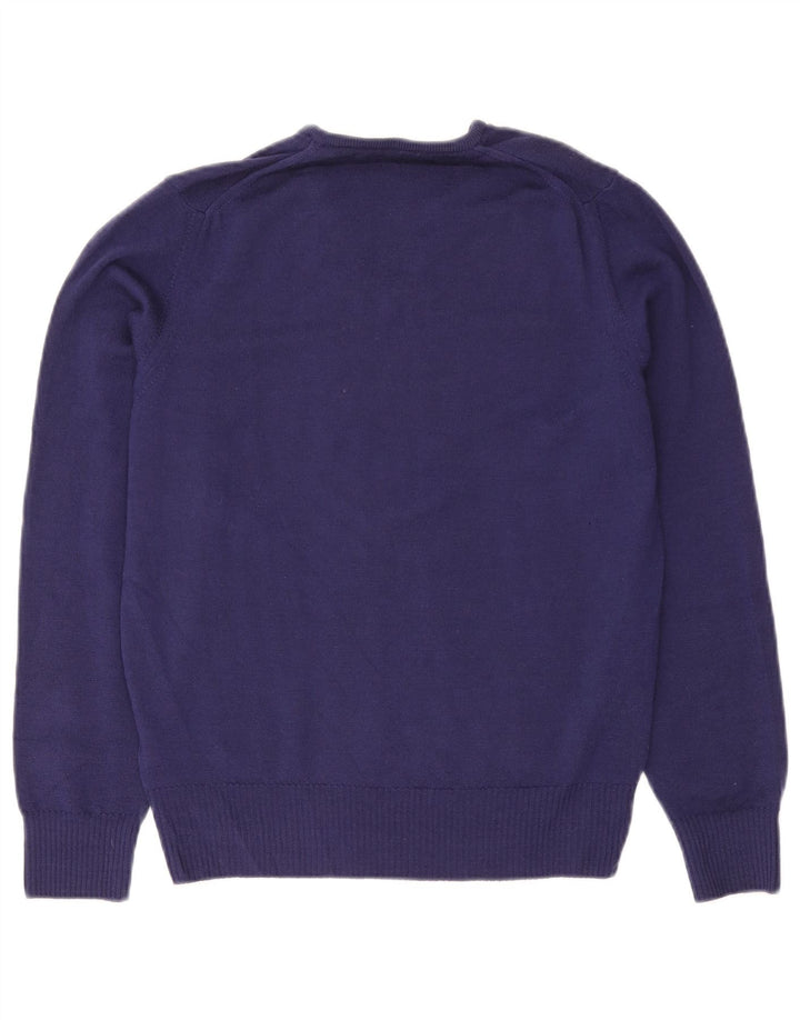 Zara Mens V-Neck Jumper Sweater Medium Purple Wool