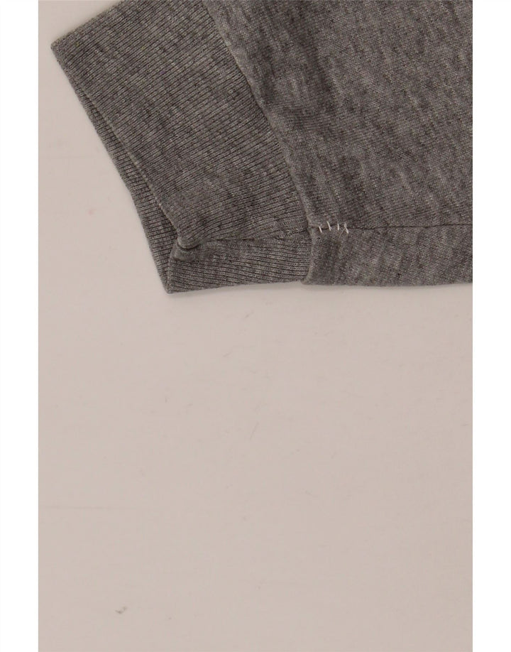 Champion Mens Graphic Hoodie Jumper Medium Grey Flecked