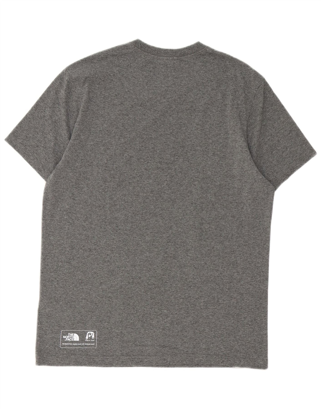 THE NORTH FACE Mens Graphic T-Shirt Top Medium Grey Cotton